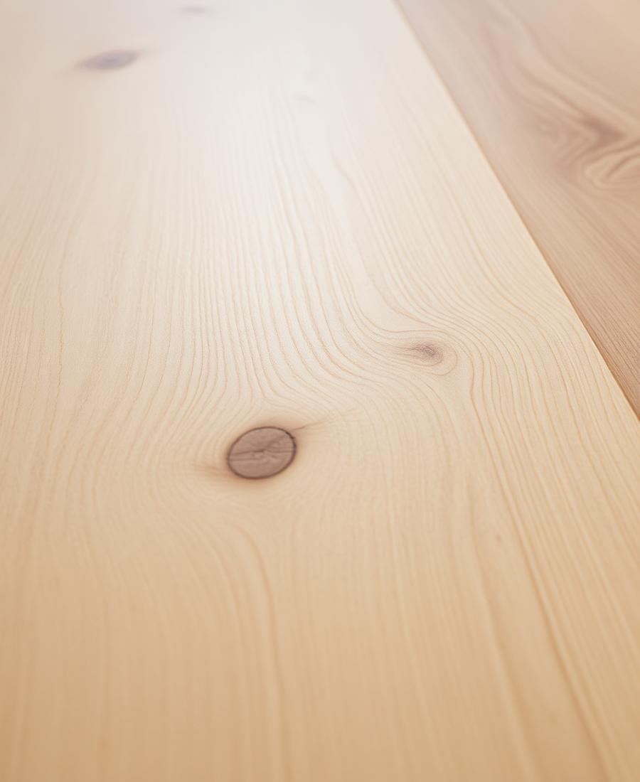Cyrus Fauna surface detail